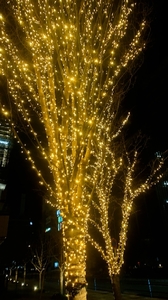20211221180050708.jpg