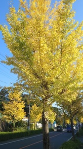 DSC_0592~2.JPG