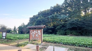DSC_0494~2.JPG