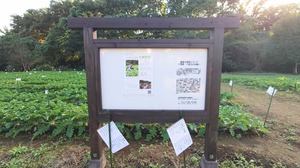 DSC_0499~2.JPG