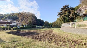 DSC_0527~2.JPG