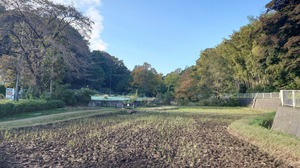 DSC_0531~2.JPG