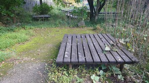 DSC_0580~2.JPG