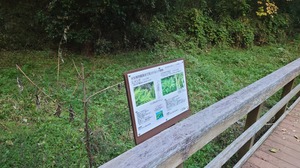 DSC_0577~2.JPG