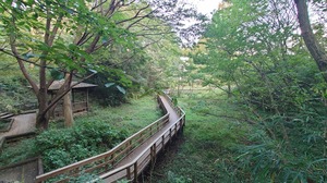 DSC_0572~2.JPG