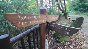 DSC_0571~2.JPG