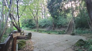 DSC_0570~2.JPG