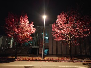 20221104_023306~2.JPG