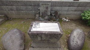 DSC_9818~2.JPG