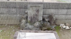 DSC_9819~2.JPG