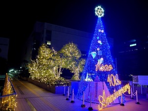 20221124_234527~2.JPG
