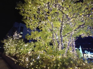 20221124_231756~2.JPG