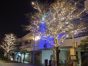 20221124_232849~2.JPG