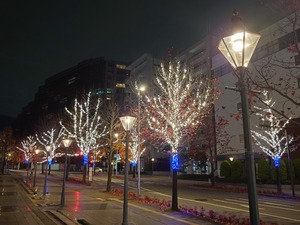 20221124_235231~2.JPG