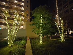 20221209_175542~2.JPG