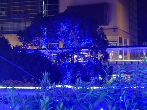 20221119_232049~2.JPG