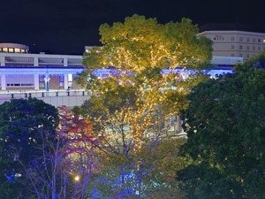 20221119_225444~2.JPG