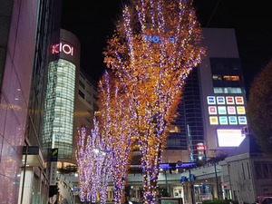 20221125_211714~2.JPG