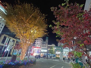 20221125_205518~2.JPG