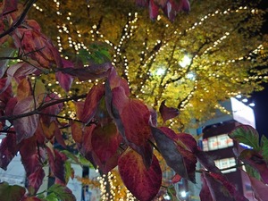 20221125_205547~2.JPG