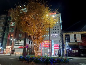 20221125_205855~2.JPG