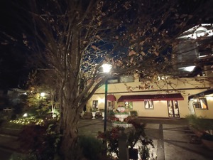 20221125_203150~2.JPG
