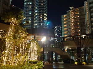 20221214_234204~2.JPG