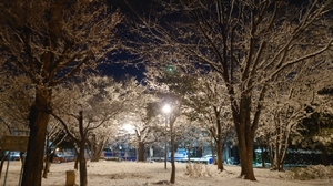 20220107170821769.jpg