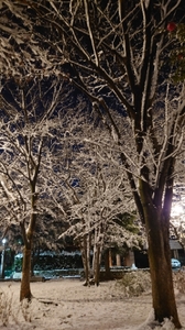 20220107171620115.jpg