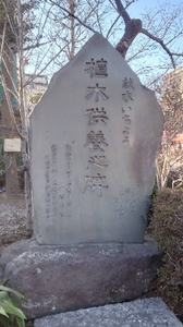 20220119175139155.jpg