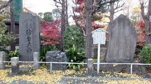 20220121172859800.jpg