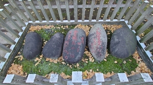 20220125222551728.jpg