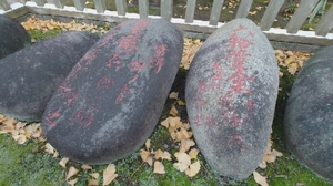 20220125222753885.jpg