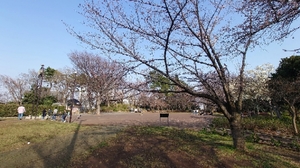 20220403160730551.jpg