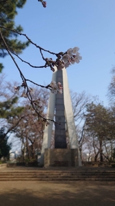 20220403161056237.jpg