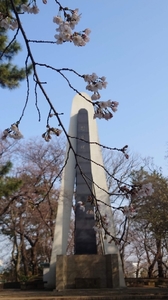 20220403161125207.jpg