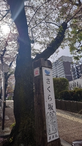 20220409165242712.jpg