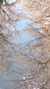20220411160306641.jpg