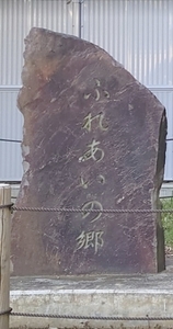 20220507163332920.jpg