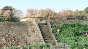 20220522182425221.jpg
