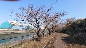 20220525113323204.jpg