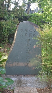 20220602201554967.jpg