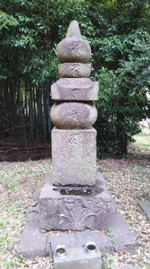 20220608180431475.jpg