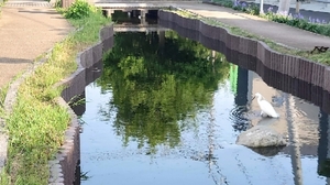 20220619164027538.jpg