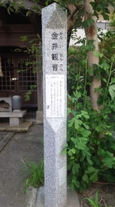 20220702190611920.jpg