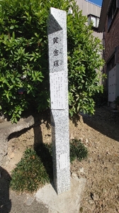20220704192349026.jpg