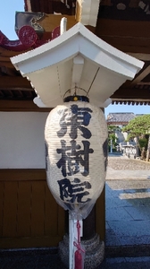 20220712184605405.jpg