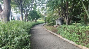 20221008212750116.jpg