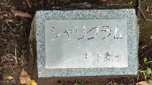 20221008213220446.jpg