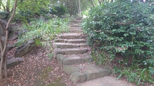 20221010220059518.jpg